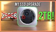 UPGRADING an M1 Mac mini SSD from 256gb to 2TB!!