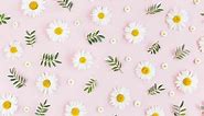 5 Free Daisy Templates: Beautiful Printables for your Creative Project! - Artsydee - Drawing, Painting, Craft & Creativity