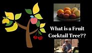 What is a Fruit Cocktail Tree AND Do They Work?