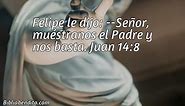 Explicación Juan 14:8. 'Felipe le dijo: -Señor, muéstranos el Padre y nos basta.' - BibliaBendita