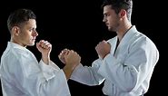 Shorin Ryu Karate (History, Belt Order, Katas, Techinques) - The Karate Blog