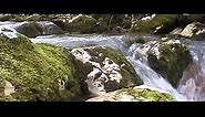 Zvukovi Prirode ..Voda