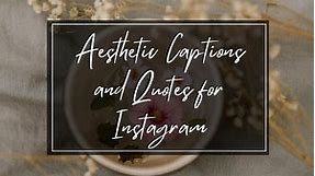 50 Best Aesthetic Captions And Quotes For Instagram In 2024