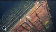 Lost at sea: Ecological assessment around a sunken shipping container