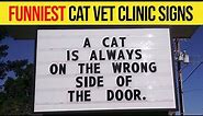 Funniest Cat Jokes Vet Clinic Signs