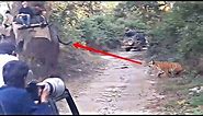 Tiger attack elephant and safari riders in jim corbett national park dhikala!!!!