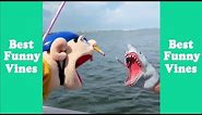 Funny Shark Puppet Compilation 2019 | Shark Puppet Clips - Best Funny Vines