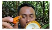 Durian minion super #reels - Kayong Adventure