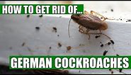 How To Get Rid Of German Cockroaches Guaranteed (4 Easy Steps)