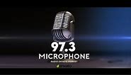Download Microphone Logo - Videohive - aedownload.com