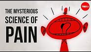 The mysterious science of pain - Joshua W. Pate