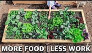 Using SQUARE FOOT Gardening Easily DOUBLED the Harvests