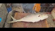 Fish Cutting Yahoo!! Fish Cutting Ideas|| Fish Cutting Tools|| Fish Cutting at Home