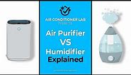 Air Purifier Vs Humidifier (Differences & Benefits Explained)