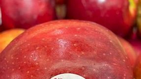 Happy New Year! Be sure to keep your eyes out for our Red Prince apples coming to your grocery stores. Our season has just started! | Red Prince Apple