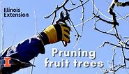 How to prune fruit trees for healthier trees and better harvests