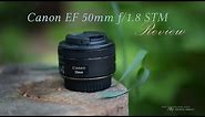 Canon EF 50mm f/1.8 STM Lens Hands-On Review - Bargain Excellence!