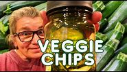 9 Flavors of Veggie Chips Freeze Dried