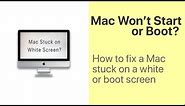 How to Fix Mac White Screen