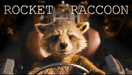The Name's Rocket - Rocket Raccoon
