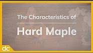 The Characteristics of Hard Maple Wood