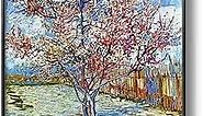 NIHO-JIUMA Diamond Painting Kits Van Gogh Peach Blossoms in Full Bloom,5D Diamond Art Kits Full Drill Canvas Painting Gift for Adult,Home Decor(40x50cm/16x20 Inches)
