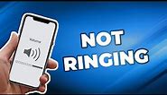 How to Fix iPhone Not Ringing [7 Options]
