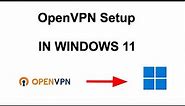 How to setup OpenVPN Client in Windows 11