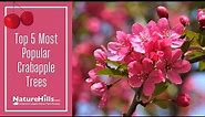 Top 5 Most Popular Crabapple Trees | NatureHills.com