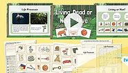 Science: Living Things and Their Habitats: Living Dead or Never Alive Year 2 Lesson 1