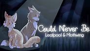 "Could Never Be" Leafpool & Mothwing. (ORIGINAL WARRIOR CAT SONG)