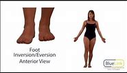Foot Inversion Eversion