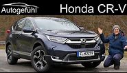 2019 Honda CR-V FULL REVIEW - Autogefühl