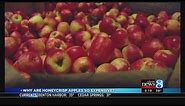 Why Honeycrisp apples are so expensive