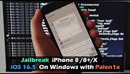Jailbreak iPhone 8 /8+ /iPhone X iOS 16.5 On Windows with Palen1x