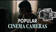 The Most Popular Cinema Cameras (Part 1): Arri, Sony, Red