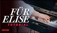 How To Play "Für Elise" by Beethoven (Piano Tutorial + PDF Sheet Music)