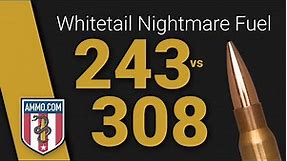 243 vs 308: Whitetail Nightmare Fuel