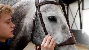 HOW TO FIT THE BITLESS NALANTA BRIDLE