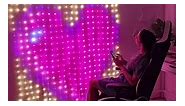 Color Waves LED Curtain Sync Lights