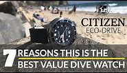 7 Reasons Why Citizen BN0151 is the Best Value Dive Watch