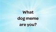Do you recognise these popular dog memes? Which one are you - let us know in the comments #DogLoversFestival #DogMemes | Dog Lovers Festival