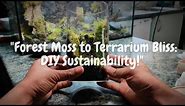"Forest Moss to Terrarium Bliss: DIY Sustainability!"
