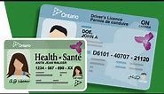 How to Renew Driver’s Licence and Health Card Ontario Canada