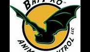 Bat Guano Removal 101 The Ultimate Guide to a Clean & Safe Home