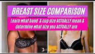 Bra Size Measurement & Cup Size | A, B, C, D, DD Bra Sizes AND Extra Large Breasts