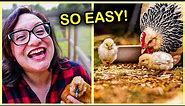 How to Get a Hen to Raise Baby Chicks 🐔🐣🐥