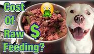 Raw Diet for Pitbulls! Pitbull transition raw food feeding!