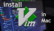 How to install Vim in Mac