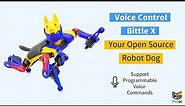 Mastering Bittle X: Voice Control and Programmable Commands Tutorial!